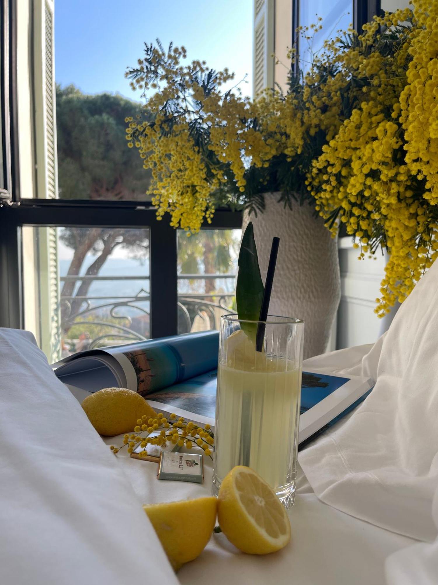 Eden Rose Grand Hotel BW Premier Collection Bormes-les-Mimosas Ngoại thất bức ảnh